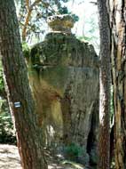 fotka slo 0136